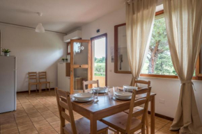 Caletta Apartments
